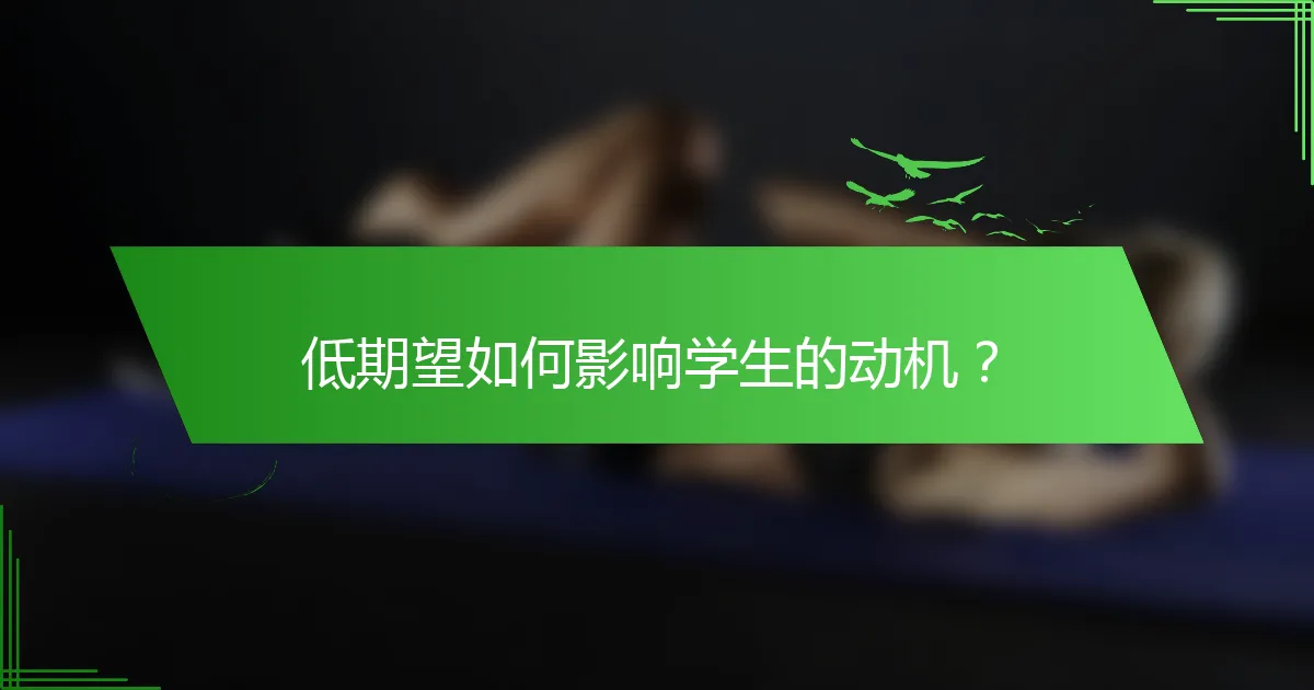 低期望如何影响学生的动机？
