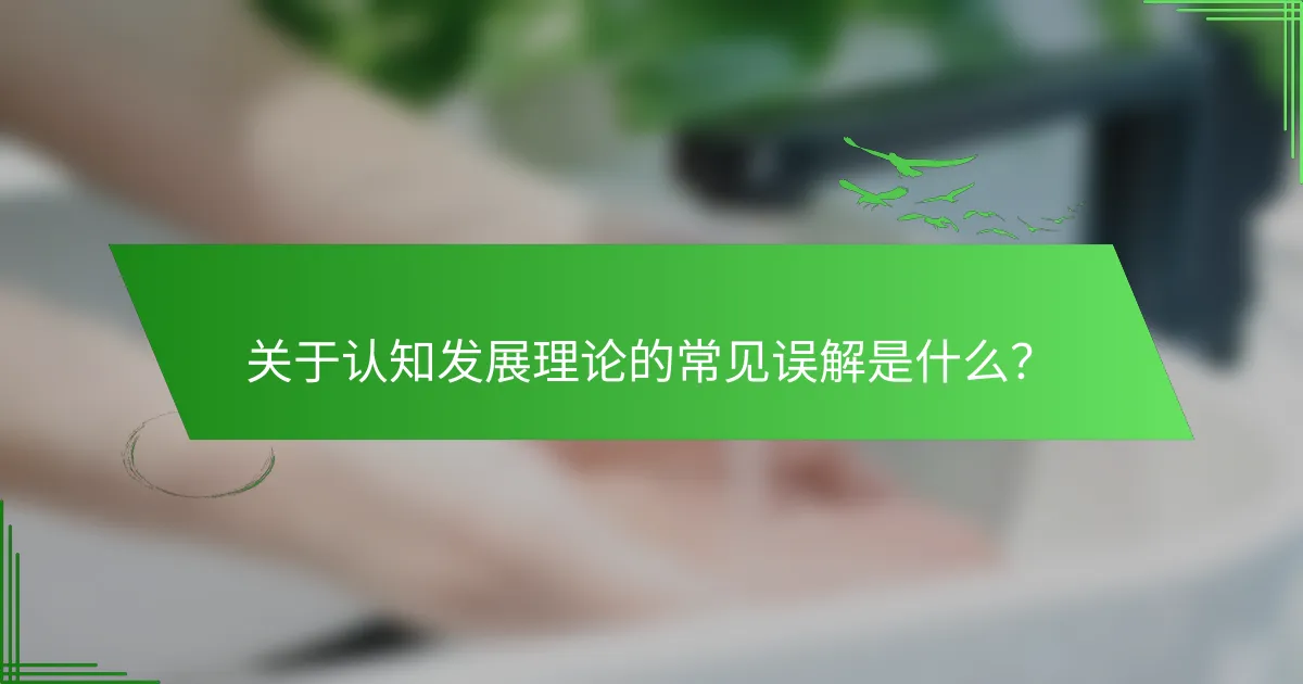 关于认知发展理论的常见误解是什么？