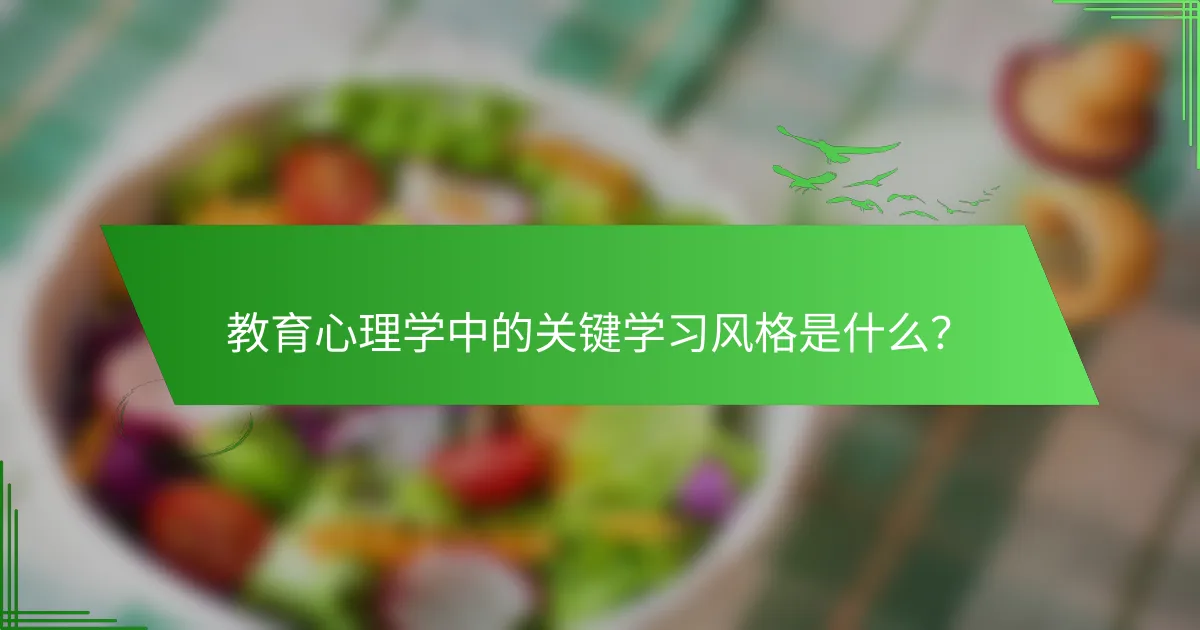 教育心理学中的关键学习风格是什么？