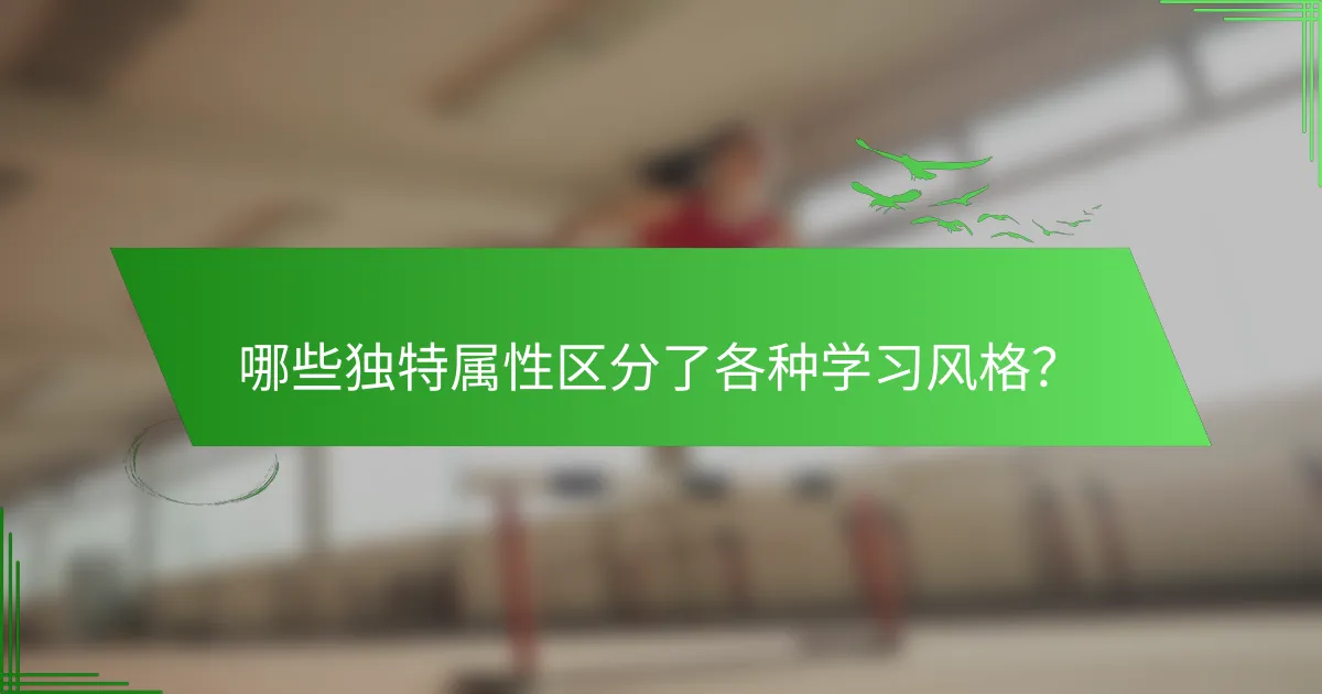 哪些独特属性区分了各种学习风格？