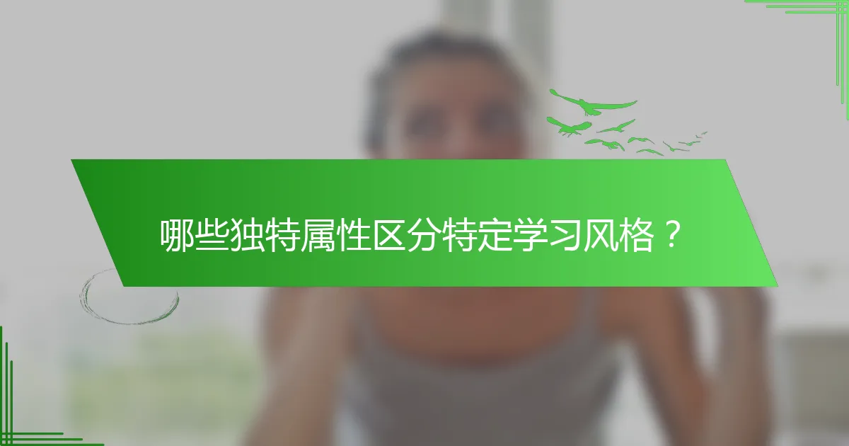 哪些独特属性区分特定学习风格？
