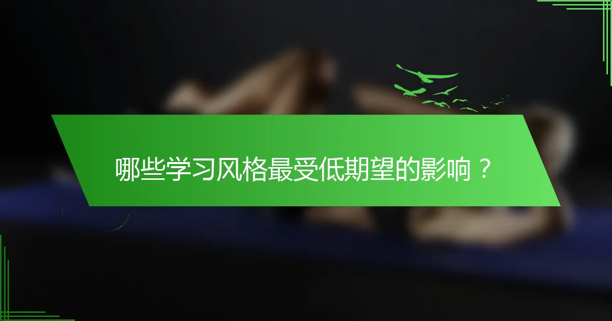 哪些学习风格最受低期望的影响？