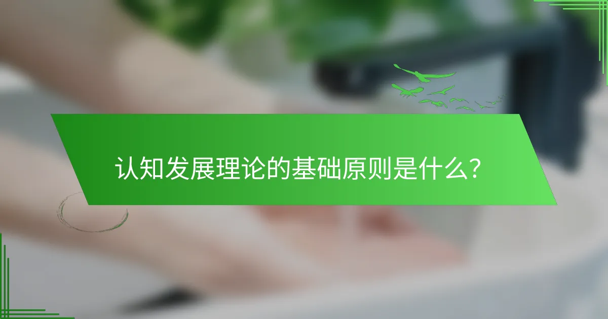 认知发展理论的基础原则是什么？