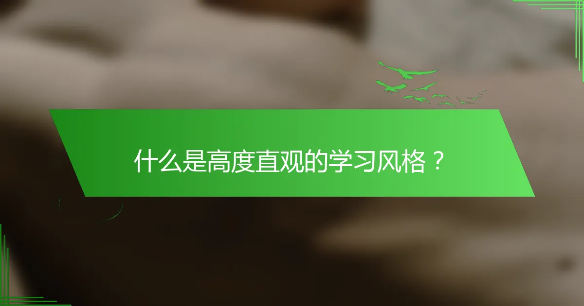 什么是高度直观的学习风格？