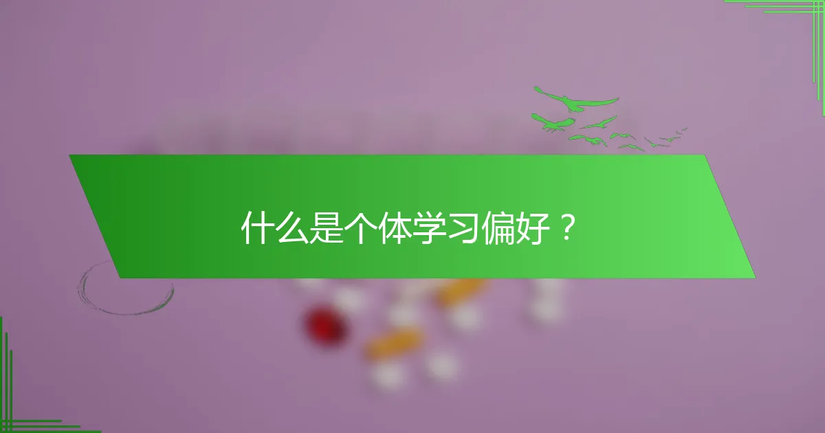 什么是个体学习偏好？
