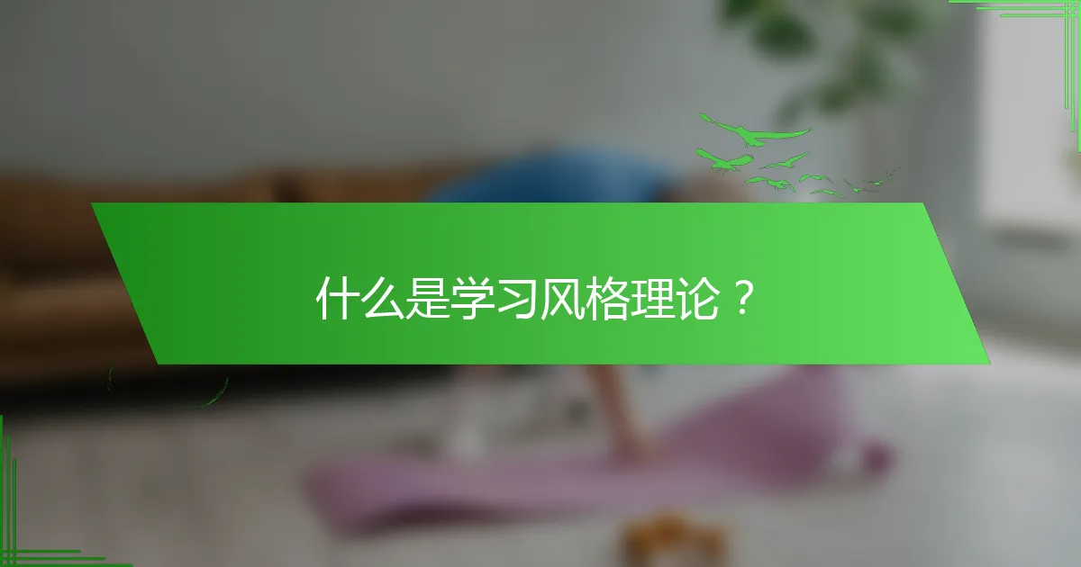 什么是学习风格理论？