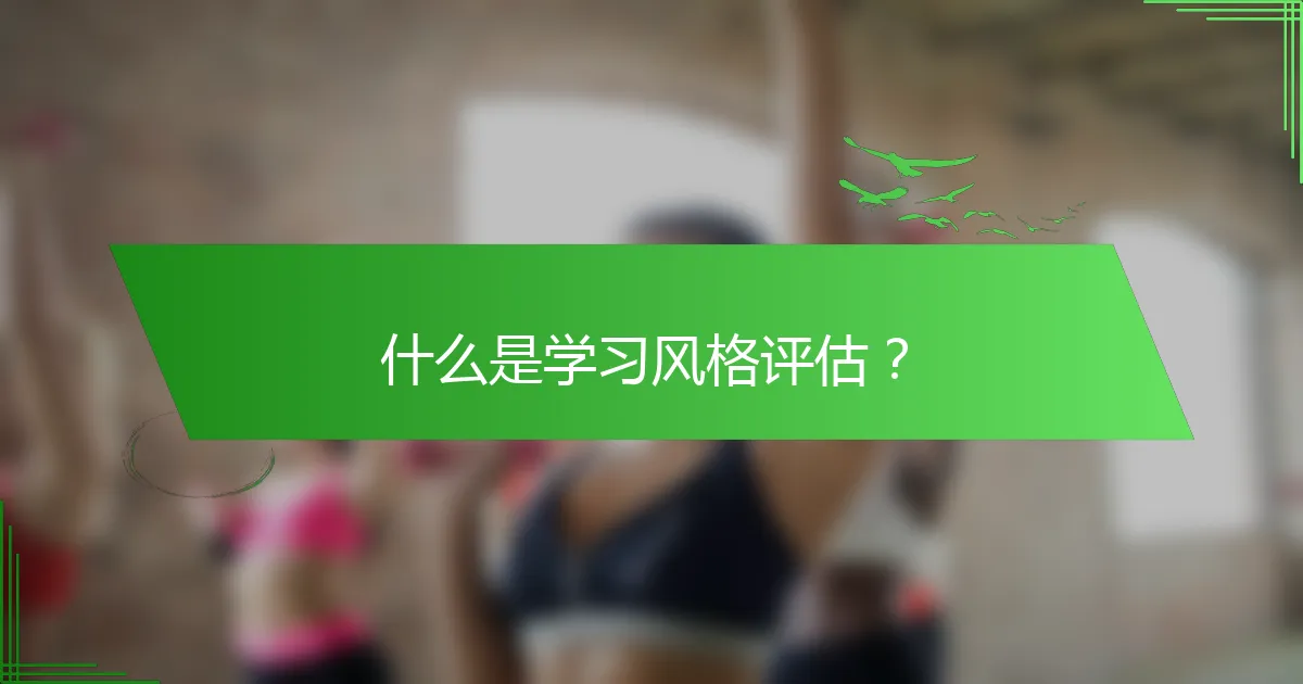 什么是学习风格评估？