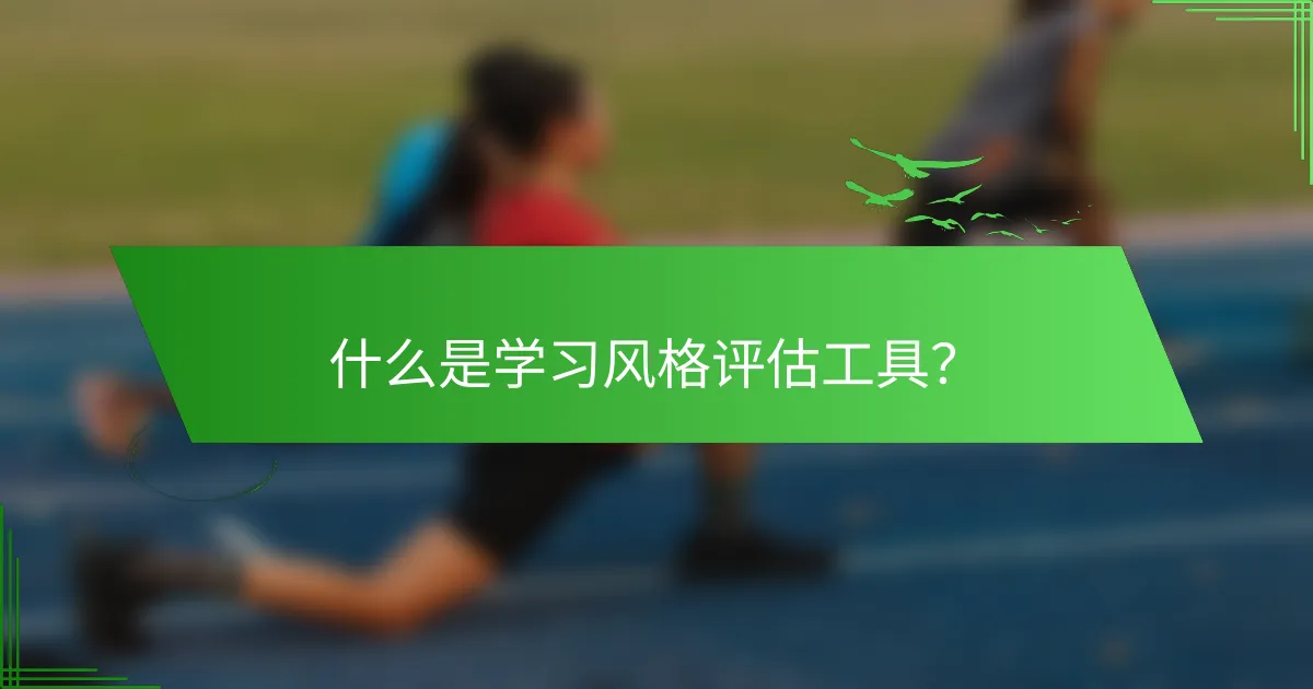 什么是学习风格评估工具？