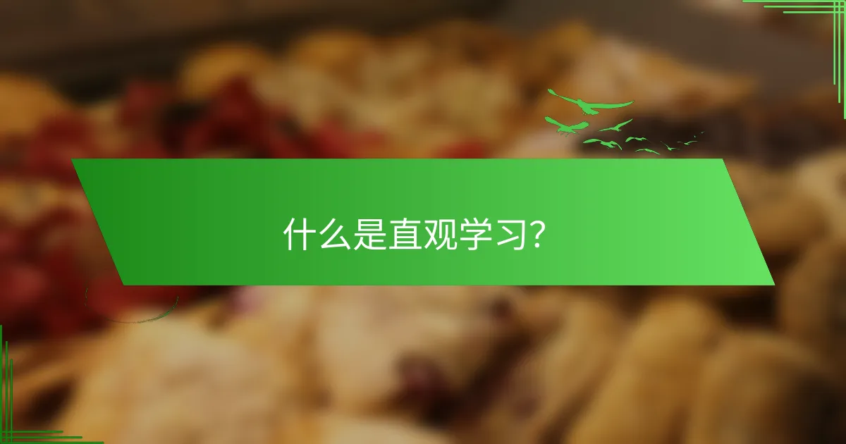 什么是直观学习？