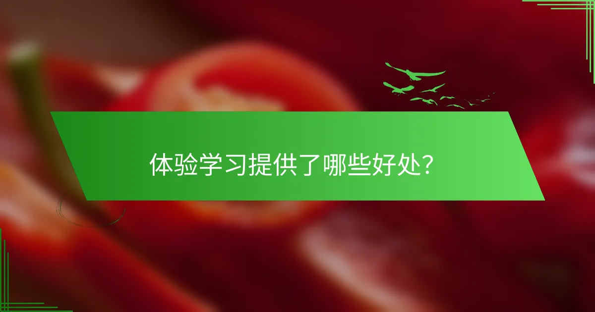 体验学习提供了哪些好处？
