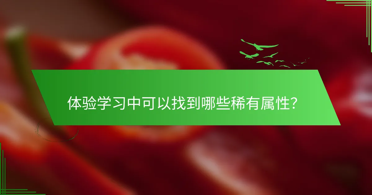 体验学习中可以找到哪些稀有属性？