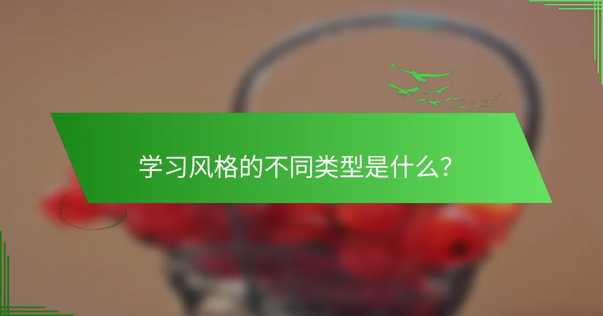 学习风格的不同类型是什么？