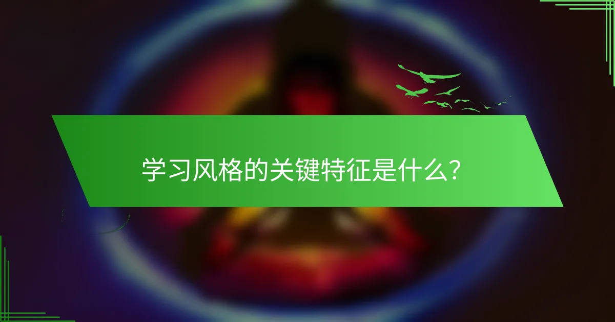 学习风格的关键特征是什么？