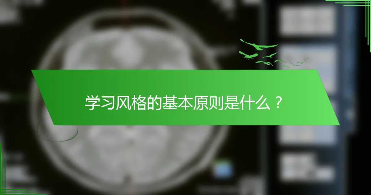 学习风格的基本原则是什么？