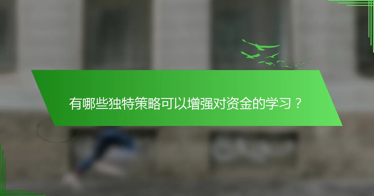 有哪些独特策略可以增强对资金的学习？