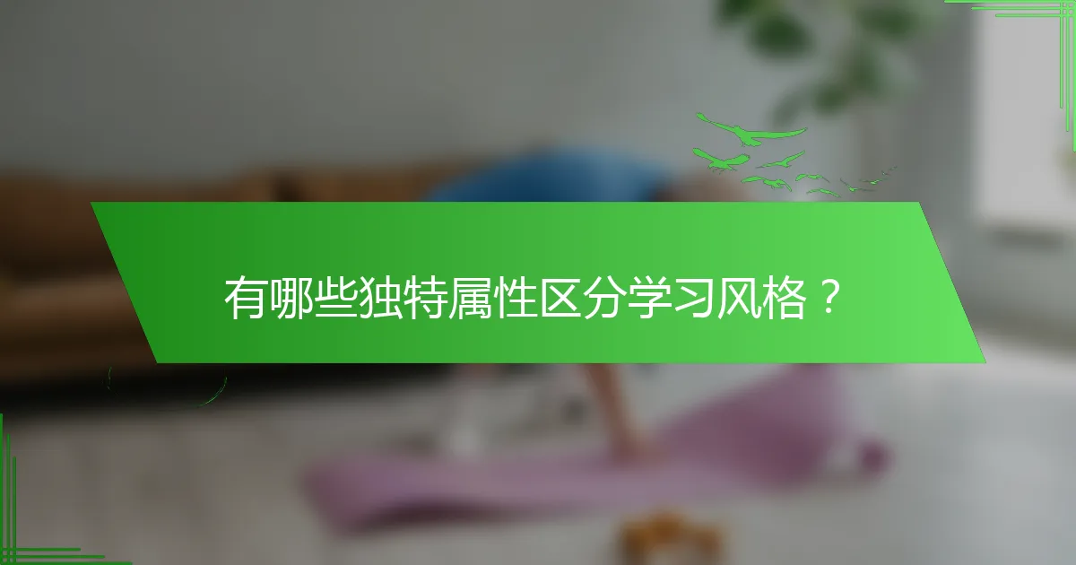 有哪些独特属性区分学习风格？